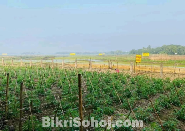 Pine City (Best Plot in Purbachal)